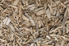 biomass boilers Puddledock